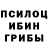 Галлюциногенные грибы Cubensis Srdjan Vukovic