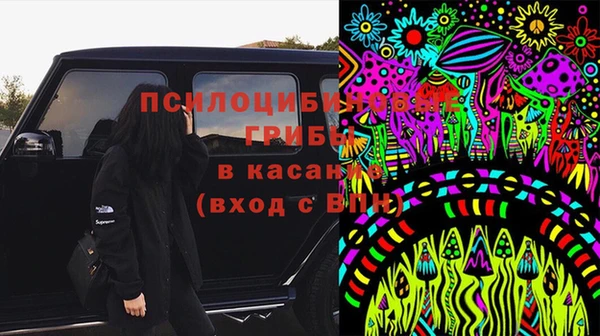 шишки Белоозёрский