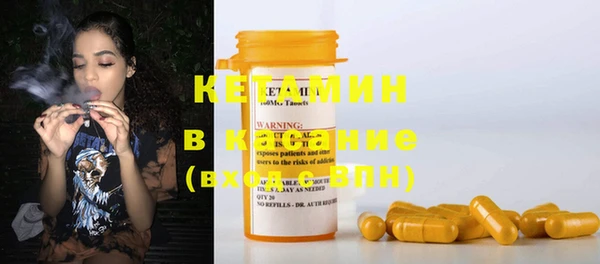 шишки Белоозёрский