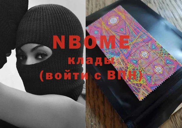 шишки Белоозёрский