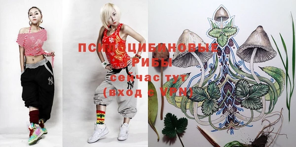 шишки Белоозёрский