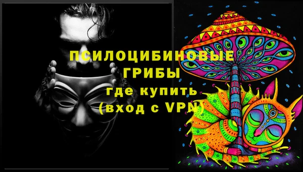 шишки Белоозёрский