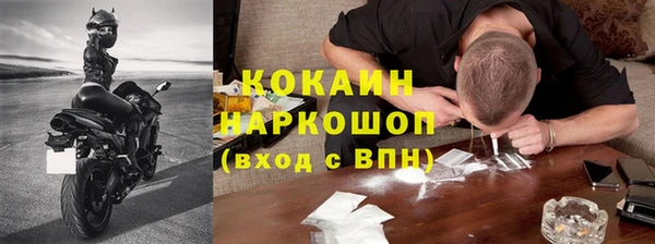 шишки Белоозёрский